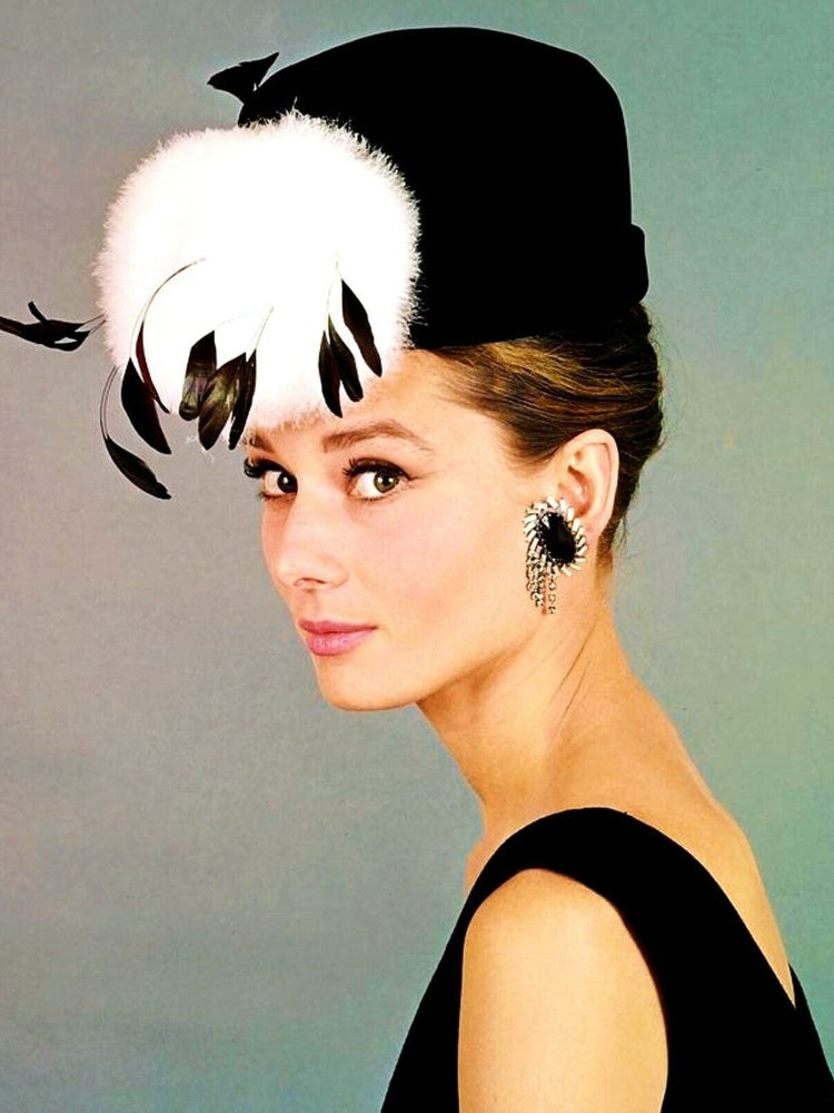 Audrey Hepburn 8.5 x 11 Color Photograph Art Print Photo Picture Collectibles:Photographic Images:Photographs Style Your Walls